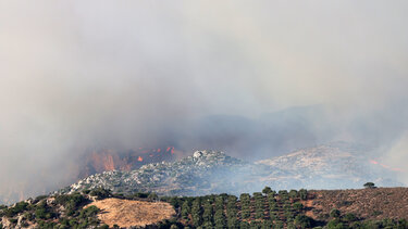 Φωτιά Χανιά 