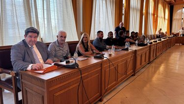 παράταξη Καραμαλάκη