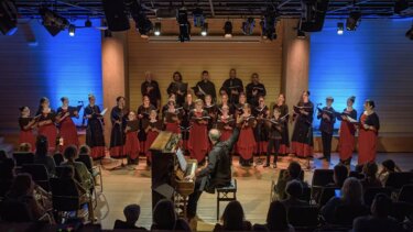 Φωνωδία, διαγωνισμός