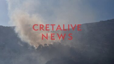 Πρόλαβαν κι "έπιασαν" τη φωτιά στην Τύλισσο (φωτογραφίες)