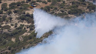 Φωτιά Ιεράπετρα