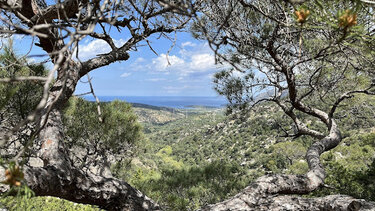  Κατσικαντάρας 