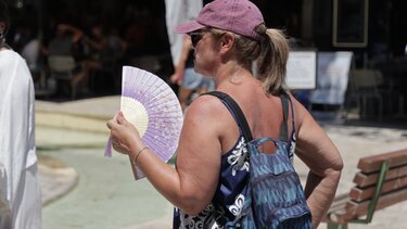 λιοντάρια- καύσωνας