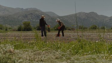 Metaxa Hospitality Group