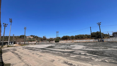 Μοναχή Ελιά