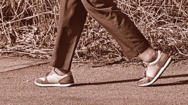 Βάδισμα, Εγκέφαλος