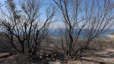 Φωτιά, Ιεράπετρα