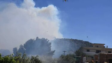 Φωτιά στη Ραφήνα