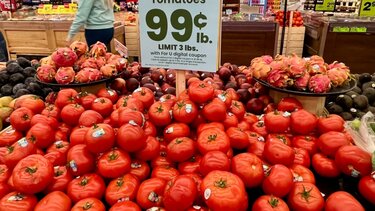 tomato usa