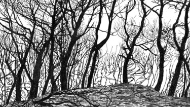 Έκθεση «Μεταξύ Φωτός και Σκιάς: Τέχνη για ένα Βιώσιμο Μέλλον» 