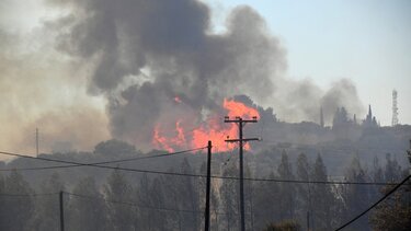Φωτιά στην Αχαΐα: Ένας εγκαυματίας σε σοβαρή κατάσταση - Απανωτά μηνύματα από το 112