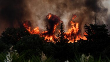 Εκκενώνεται η Κάτω Αχαΐα λόγω της μεγάλης φωτιάς: «Απομακρυνθείτε προς Πύργο»