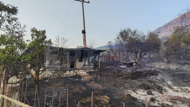 Βρυσούλα Πρέβεζα