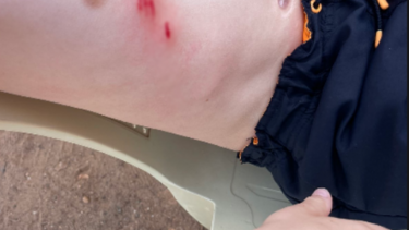 Διάσωση Ωκεανις