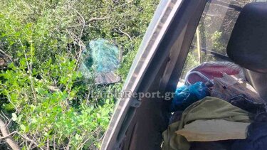 ektrope lamia report