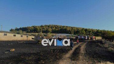 ευβοια φωτια