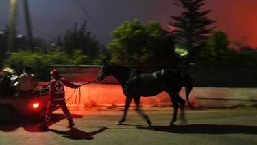 Αλογο φωτιά