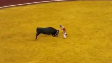 ταυρομάχος