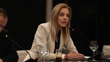 semertzidou diloseis