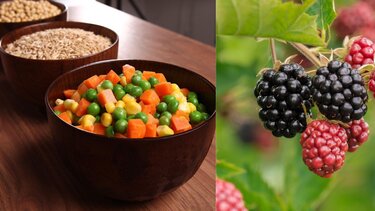 τροφιμα μούρα 