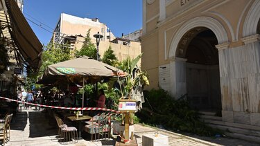 Πτώση δέντρου