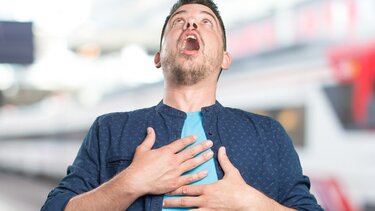 Λαβή Χάιμλιχ