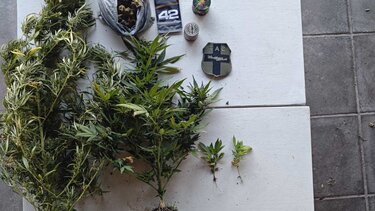 ΧΑΝΙΑ ΝΑΡΚΩΤΙΚΑ