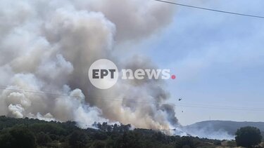 λέσβος φωτιά