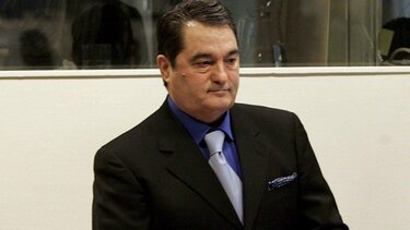 Νεμπόισα Πάβκοβιτς