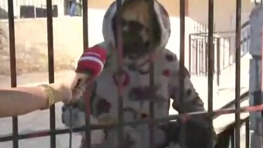 Βοιωτία: Η 62χρονη που έθαψε τη μητέρα της έβαλε σκυλιά να επιτεθούν σε δημοσιογράφο