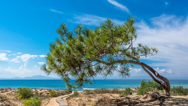 Φύση, Θάλασσα