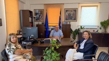 Μπελαδάκης Εκπρόσωποι Ινστιτούτων