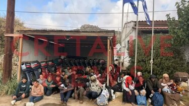 Μετανάστες, Μωρά