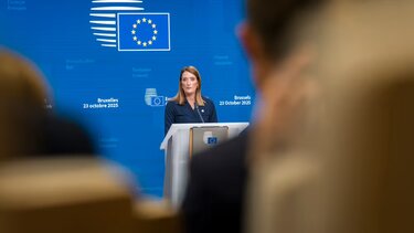 Ρομπερτα Μετσόλα Συνέντευξη Τύπου