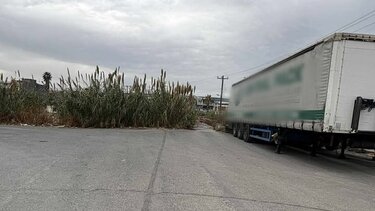 Νταλίκες, Παραλιακή, Ηράκλειο