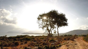Κρήτη καιρός αρχείο