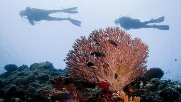 καταδυτικο παρκο 