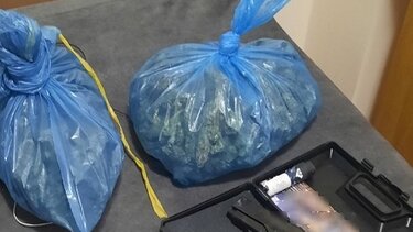 Κοκαϊνη, Σύλληψη