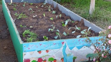 Λαχανόκηπος, Βιωματικές δράσεις 