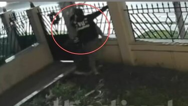 κλεφτης χριστουγεννιάτικο δέντρο