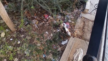 Παρτέρια, Άγιος Τίτος