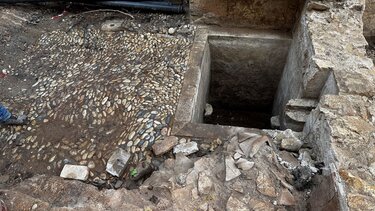 Ενετικό πατητήρι, Δελημάρκου