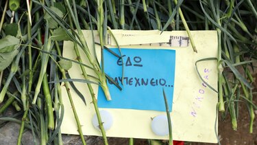 Επέτειος Πολυτεχνείου