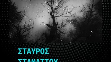 Έκθεση Φωτογραφίας, Σταύρος Σταματίου