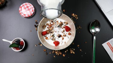 Προβιοτικά vs Πρεβιοτικά: Οι «Φύλακες Άγγελοι» του εντέρου μας