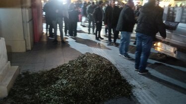 ΕΟΑΣΗ, Κινητοποίηση