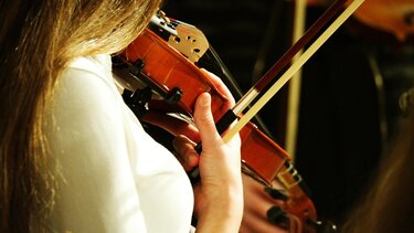 Τηλεδιάσκεψη της Σοφίας Ζαχαράκη, με τους Διευθυντές των Μουσικών Σχολείων της χώρας - Ενίσχυση των σχολείων με νέα μουσικά όργανα – Προτάσεις για ενίσχυση της λειτουργίας τους