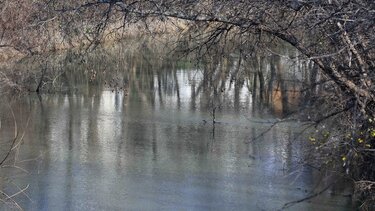 Παραμένει σε αυξημένη επιφυλακή ο δήμος Λαρισαίων για τη στάθμη των νερών στον Πηνειό