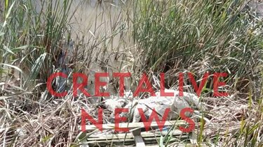 Ένα ψόφιο αρνί σε δημόσια θέα εδώ και δύο μέρες! - Φωτογραφίες