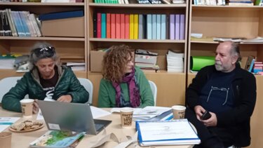 Φοινικόδασος Κρήτη Ρέθυμνο